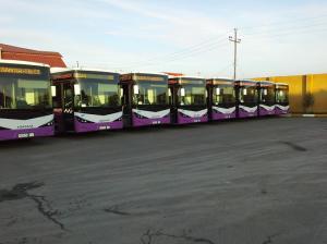 yeni-bus
