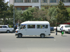 bus11